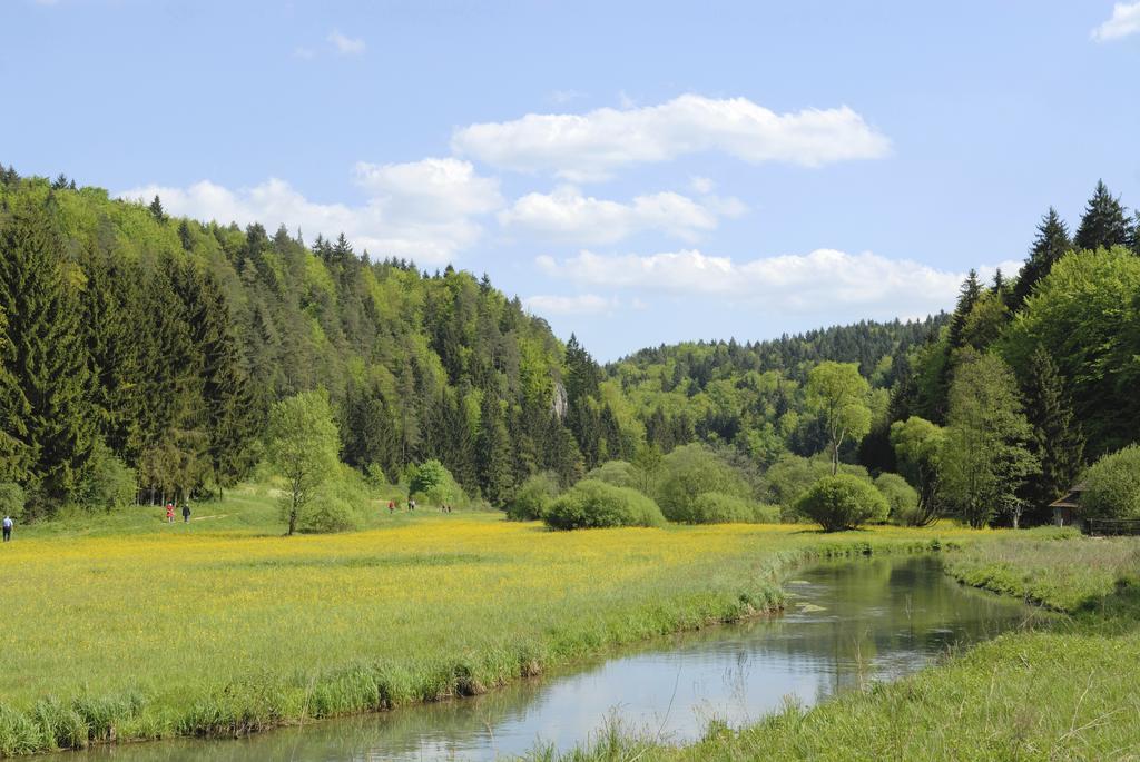 Chalet Am Bach Bad Birnbach Ruang foto
